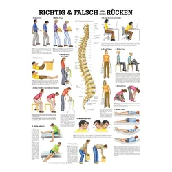 anat. Lehrtafel: Richtig & Falsch für Ihren Rücken 70 x 100 cm, Papier