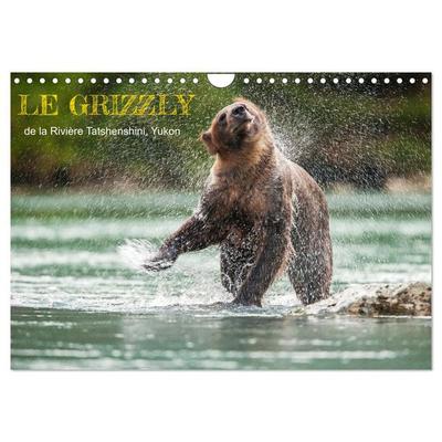 LE GRIZZLY de la Rivière Tatshenshini. Yukon (Calendrier mural 2026 DIN A4 vertical), CALVENDO calendrier mensuel