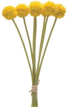 "Pod Bundle (Set of 6) 13.25""H Plastic by Melrose in Green/yellow"