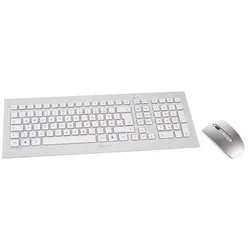 Cherry DW 8000 Maus-Tastaturkombination gelasert USB kabellos DE Layout silber