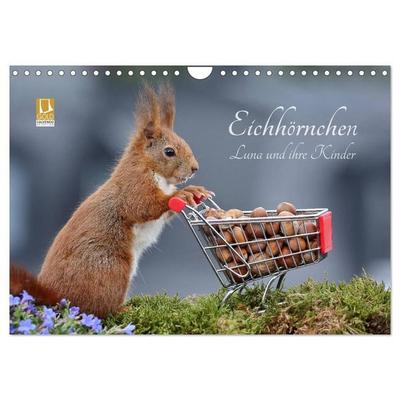 Eichhörnchen Luna und ihre Kinder (Wandkalender 2027 DIN A4 quer), CALVENDO Monatskalender