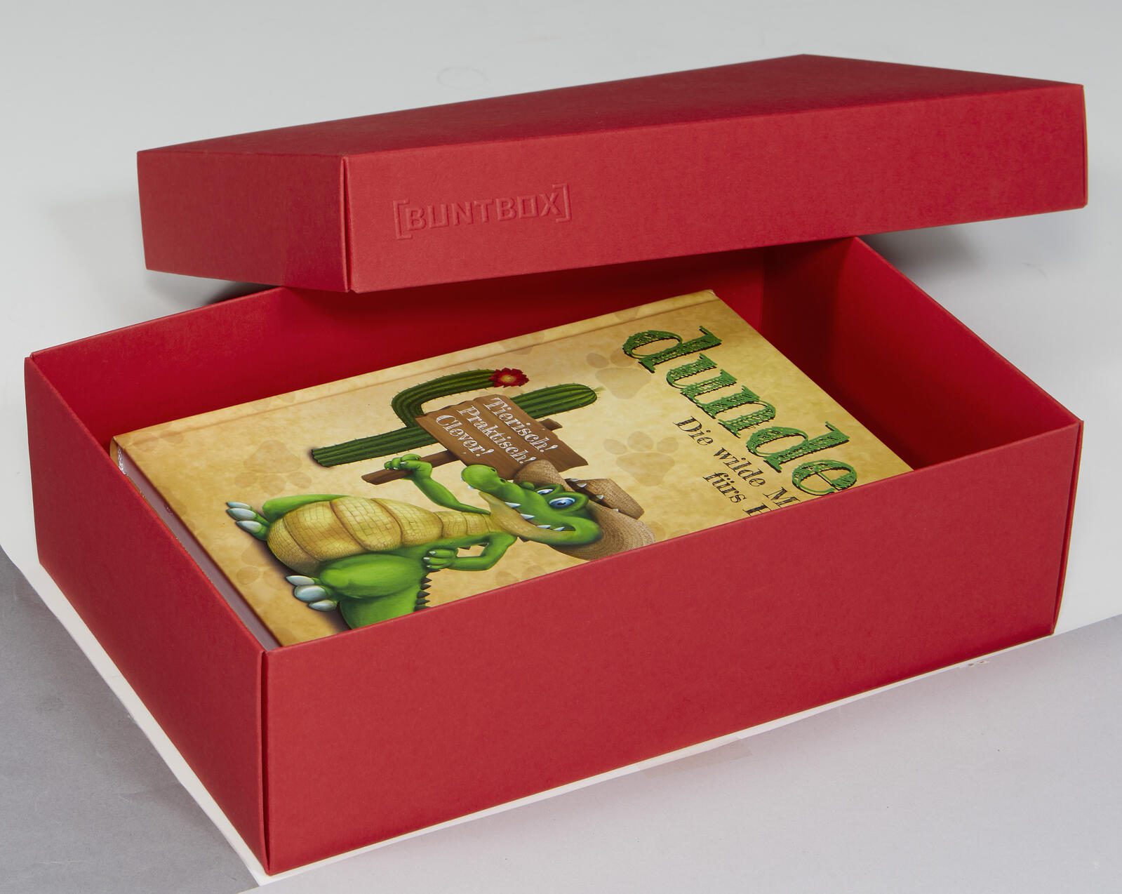 BUNTBOX Geschenkboxen L 3,6 l - 26,6 x 17,2 x 7,8 cm rot 71-17