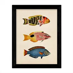 POSTER Fish – Vintage A3 Rahmenlos