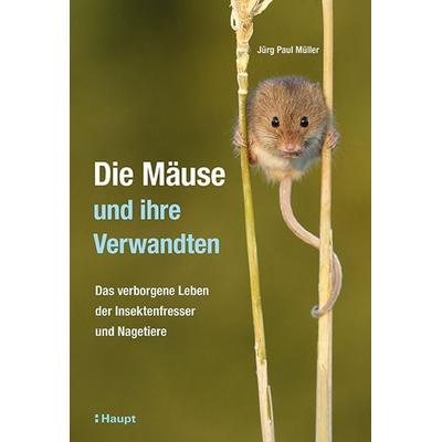 Die Mäuse und ihre Verwandten, Gebundene Ausgabe von Jürg Paul Müller, Haupt Verlag, 978-3-258-08224-0