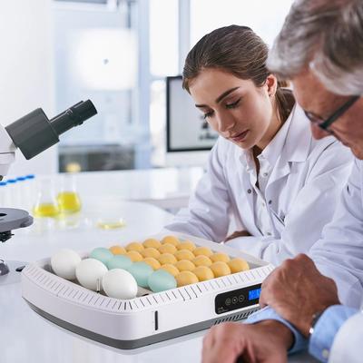 All Categories Goods Eggs Incubator, Durable Bird Auto Turning Chicken, Poultry Ducks Pet Supplies Eggs Incubator, Durable Bird Auto Turning Chicken, Poultry Ducks Pet Supplies