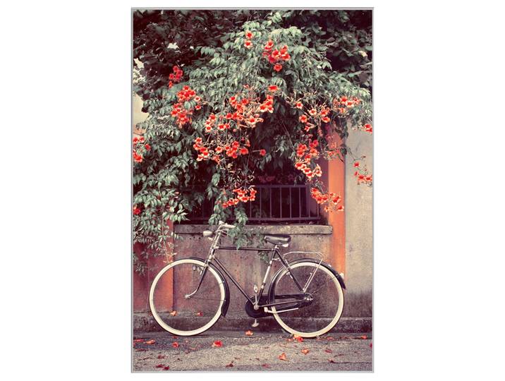 Bild mit Rahmen Fahrrad Unter Roten Blüten image LAND