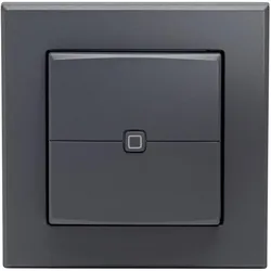 Homematic IP, Lichtschalter + Storenschalter, HmIP Wandtaster 2-fach anthrazit HmIP-WRC2-A-2
