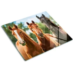 GLASPLATTE 60x52 cm Drei Pferde