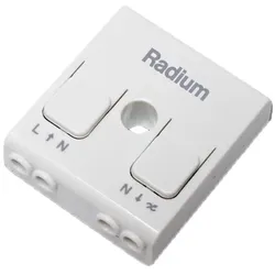Radium, Lichtschalter + Storenschalter, Steuergerät IP20