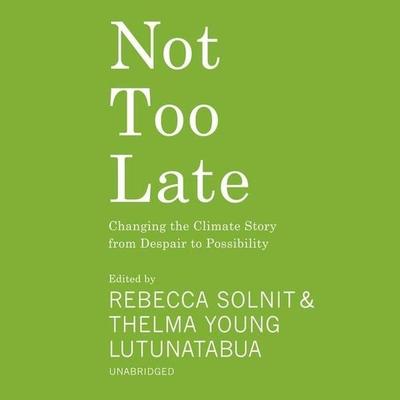 Not Too Late - Various Authors, CD, 9798212386937