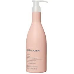 Björn Axén Anti-Frizz Shampoo 750 ml