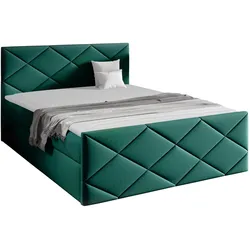 BOXBETT Herkules - H3