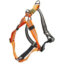 All for Paws AFP Off Street Dog Non-pull Harness Tangerine XL (XL, Hund, Spazieren), Halsband + Leine