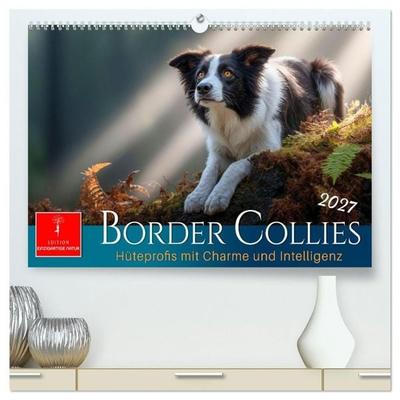 Border Collies Hüteprofis (hochwertiger Premium Wandkalender 2027 DIN A2 quer), Kunstdruck in Hochglanz
