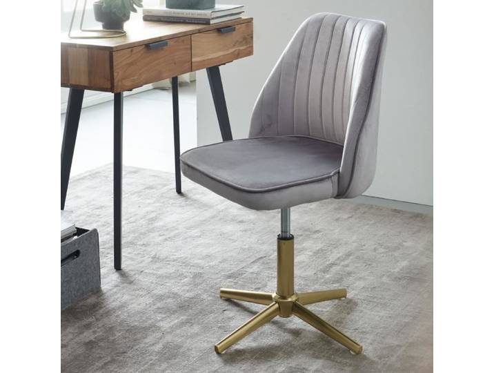 FineBuy Chaise de Bureau Velours Grise Chaise Pivotante sans Roulettes