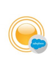 Devart dotConnect for Salesforce Standard Edition Einfache Lizenz Abonnementserneuerung 1 Jahr 1 Entwickler ESD Win (300618817)