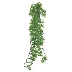 Komodo Papaya Leaf Vine, Terrariumeinrichtung