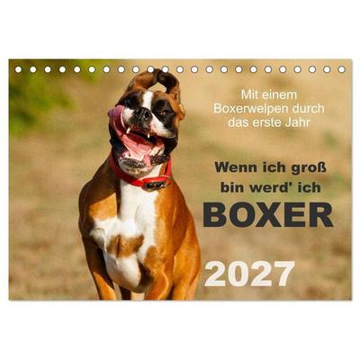 Wenn ich groß bin werd' ich Boxer (Tischkalender 2027 DIN A5 quer), CALVENDO Monatskalender