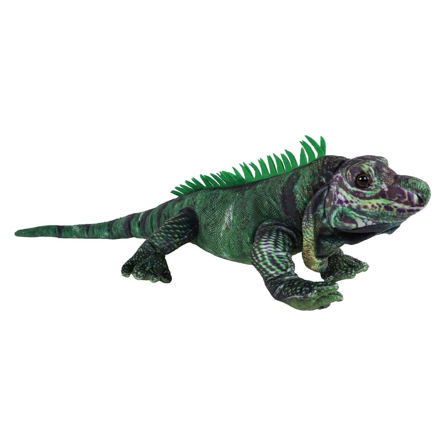 Jungle Expedition Leguan Plüschtier Plüsch, 50cm (12 cm) (55795320)