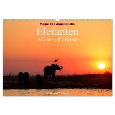 Magie des Augenblicks - Elefanten - Afrikas sanfte Riesen (Wandkalender 2027 DIN A3 quer), CALVENDO Monatskalender