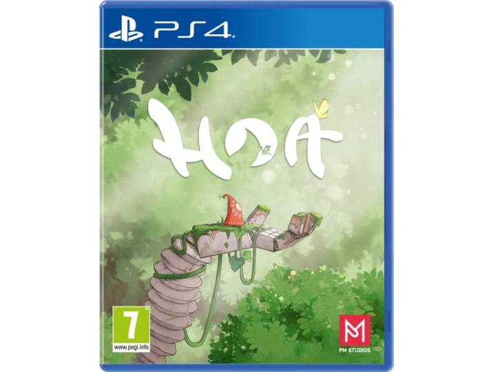 Hoa