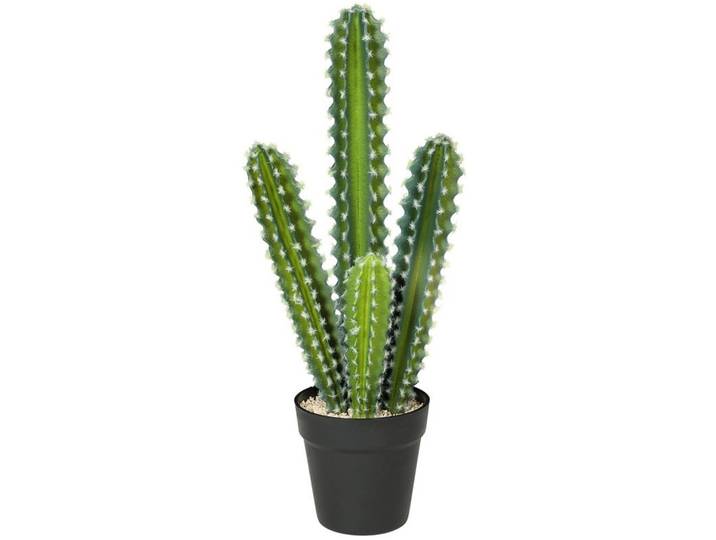 Okwish Kunstpflanzen 13/13/53 cm grün aus Kunststoff mit Dekotopf, Grün, 53 cm, Dekoration, Blumen & Blumentöpfe, Kunstpflanzen