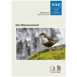 Die Wasseramsel, Fachbücher von Peter W. W. Lurz, Stefan Bosch