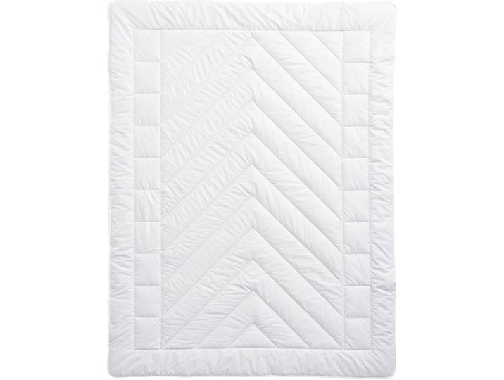 Billerbeck Kamelhaarduvet Camel Uno weiss Baumwolle 200 x 210 cm Kamelhaar - Material: Baumwolle, Füllung: 100% Kamelhaar