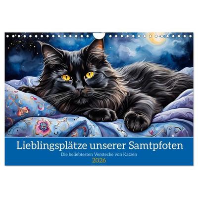 Lieblingsplätze unserer Samtpfoten (Wandkalender 2026 DIN A4 quer), CALVENDO Monatskalender