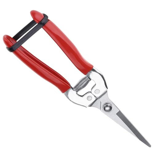 Multifunctionele snoeischaar van roestvrij staal, 20 cm, Rood