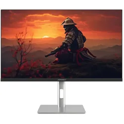 JAPANNEXT JN-I270FHD200F-HSP Computerbildschirm 68,6 cm (27") 1920 x 1080 Pixel Full HD LED Silber