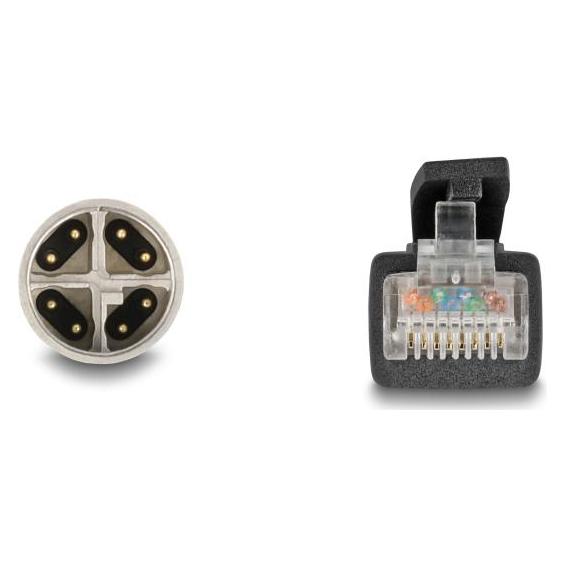 Delock M12 Kabel X-kodiert 8 Pin Stecker zu RJ45 Stecker Cat (CAT5e, 3 m) (80580)