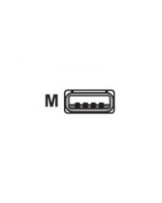 Datalogic CAB-424E USB-Kabel USB M 2 m gewickelt (90A052100)