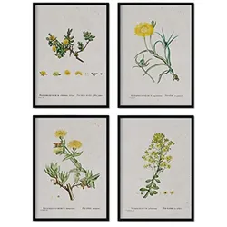 POSTER Set mit 4 von gelben Blättern aus dem Künstler PierreJoseph Redouté A4 Schwarzer Rahmen
