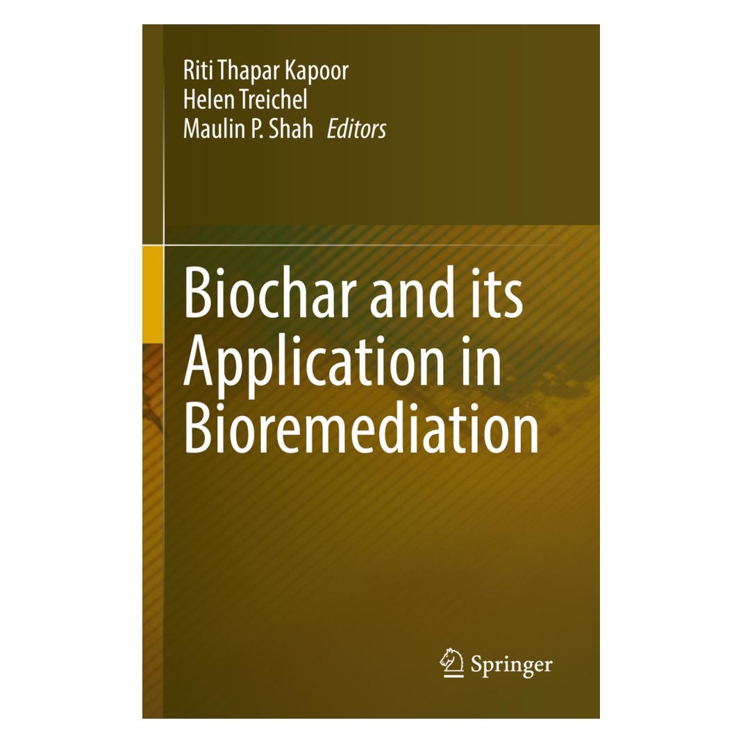 Springer Biochar and its Application in Bioremediation (Englisch, Softcover, Helen Treichel, Maulin P. Shah, Riti Thapar Kapoor) (56914623)