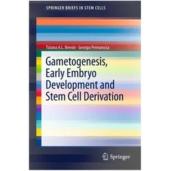 Gametogenesis, Early Embryo Development and Stem Cell Derivation, Fachbücher von GEORGIA PENNAROSSA, Tiziana A.L. Brevini