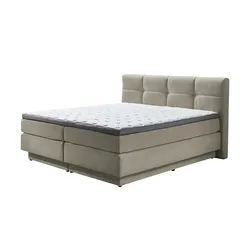 Primo Boxspringbett   ¦ creme ¦ Maße (cm): B: 168 H: 112