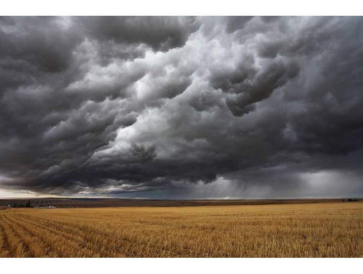 Fototapete PAPERMOON Feld mit Gewitter , bunt, B:3,5m L:2,6m, Vlies, Tapeten, Fototapete