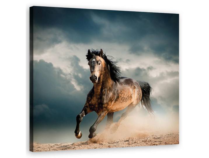 Feeby Wandbild pferd galopp, Braun, Tiere, Rechteckig, 50x50 cm, Bilder & Rahmen, Bilder, Leinwandbilder
