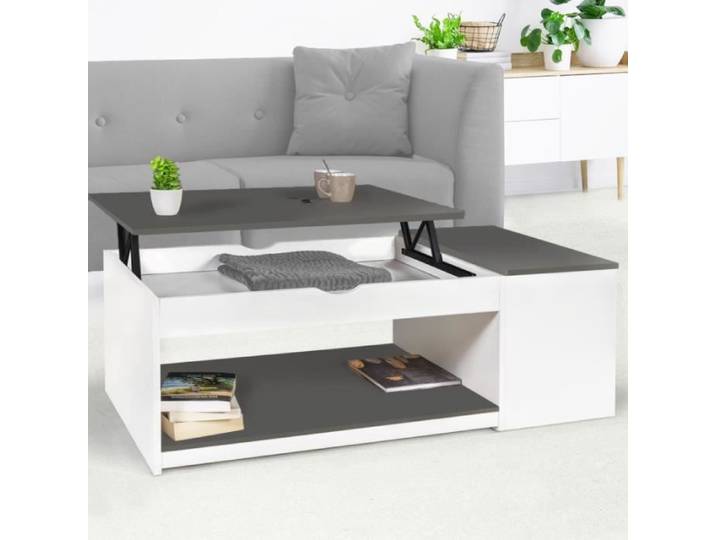 IDMARKET Table basse plateau relevable rectangulaire ELEA avec coffre bois blanc et gris