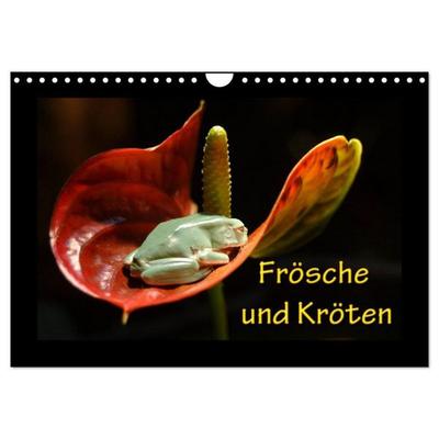 Frösche und Kröten (Wandkalender 2027 DIN A4 quer), CALVENDO Monatskalender