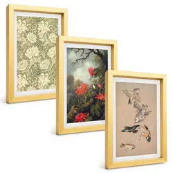BILDER SET 3er Set - 20x30 cm Goldrahmen - Blumen, Vögel, Natur