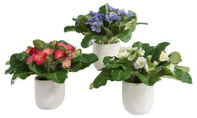 Uttermost Trilogy Primrose Accents In Vases (Set of 3)