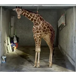 Scheurich Garagentorplane Giraffe, für Schwing- und Sektionaltore