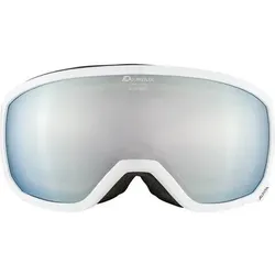 ALPINA Kinder Skibrille Scarabeo Junior, Größe ONE SIZE in Silber 811