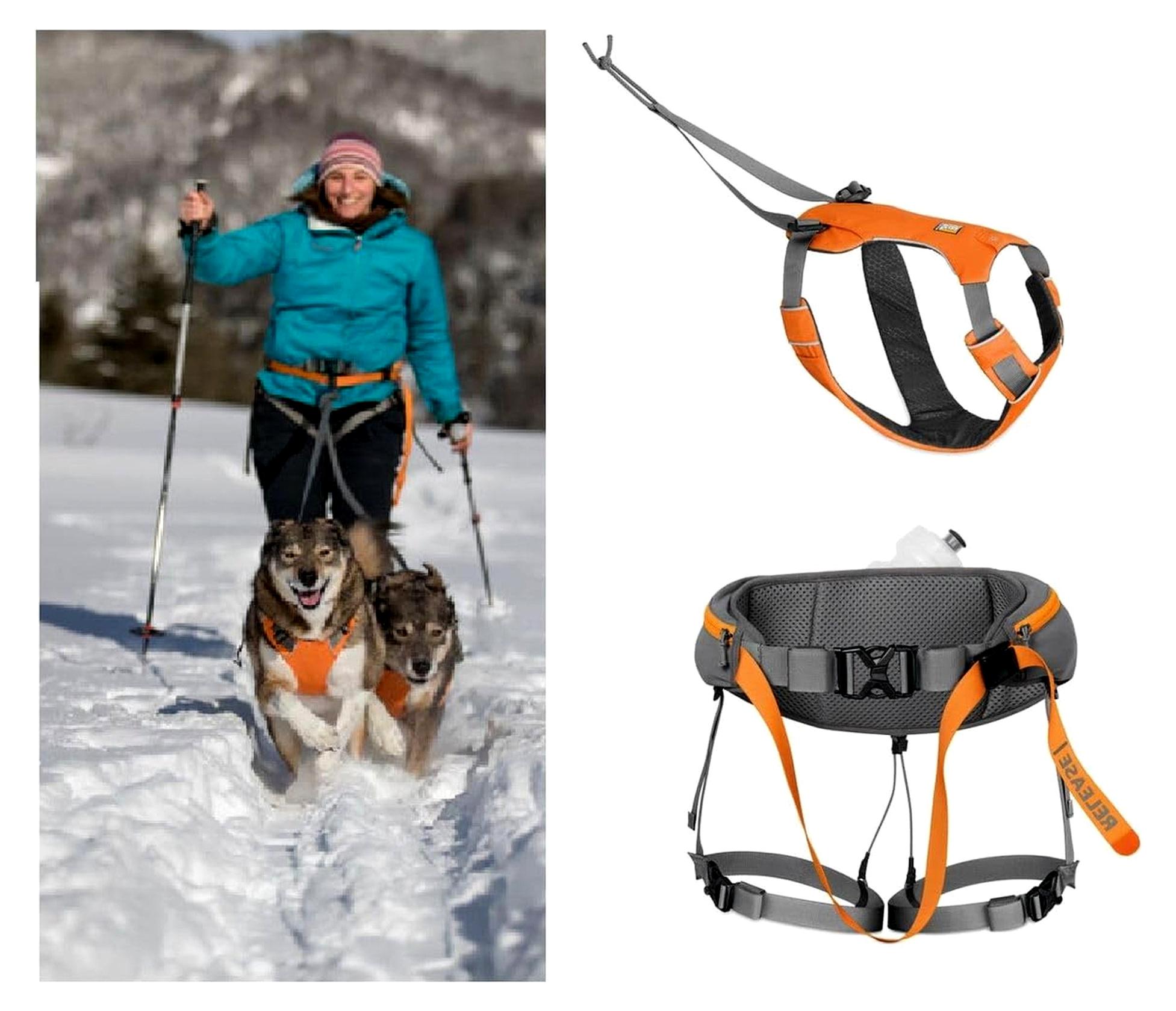 Joring-System Omnijore Klein mit Ridgeline-Leine, Crux-Clip und Hüftgurt mit Lastverteilung