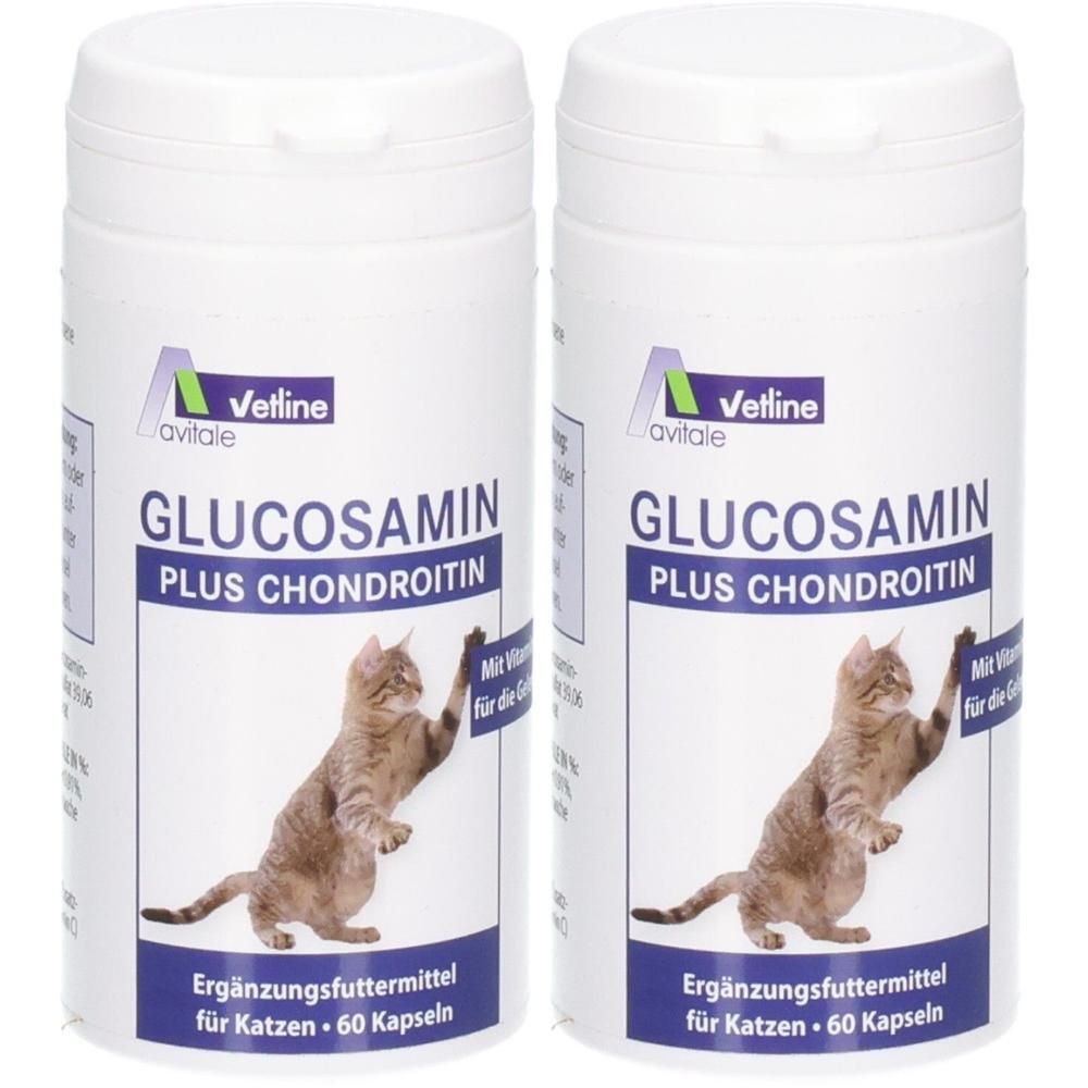 Glucosamin+Chondroitin Kapseln f.Katzen 2x 2x60 St