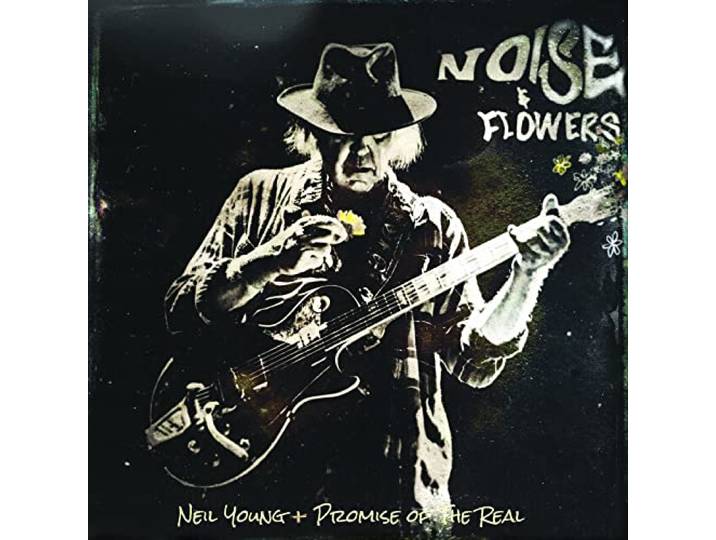 Noise and Flowers [Vinyl LP]