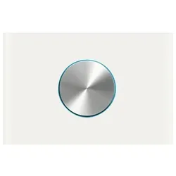 Busch-Jaeger Drehbedienelement 6341-811-101