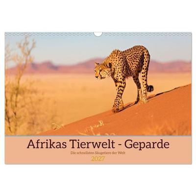 Afrikas Tierwelt - Geparde (Wandkalender 2027 DIN A3 quer), CALVENDO Monatskalender
